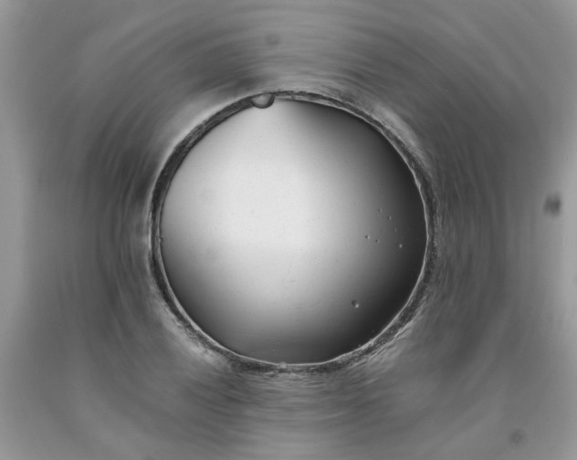 X0000091661028200709061016