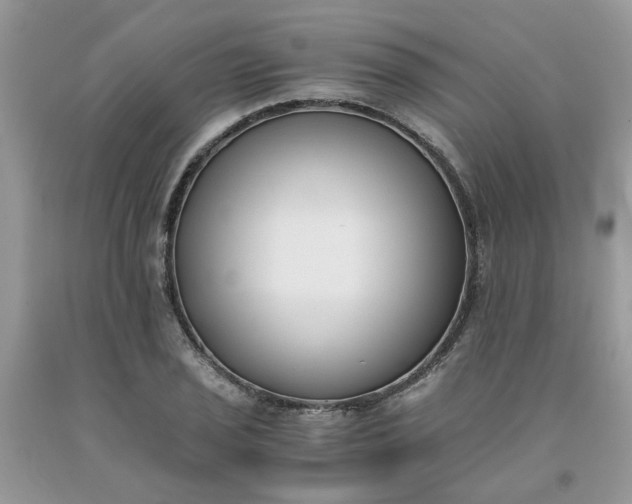 X0000091661029200709061016