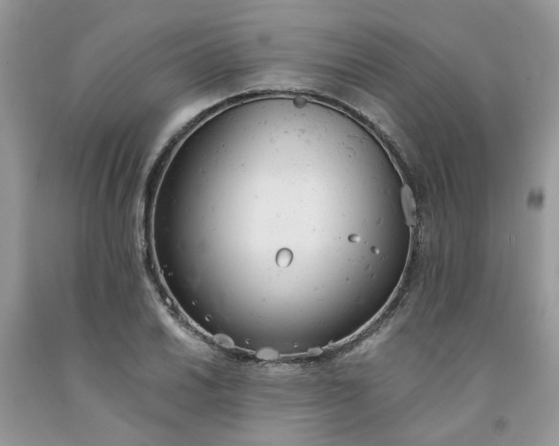 X0000091661030200709061016