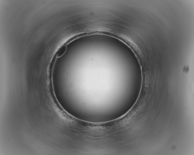 X0000091661031200709061016