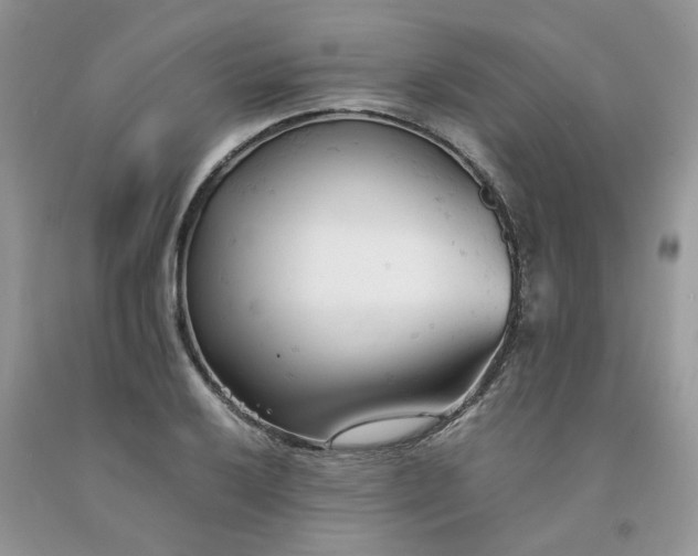 X0000091661032200709061016