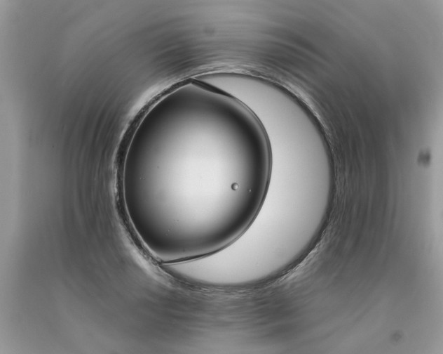 X0000091661034200709061016