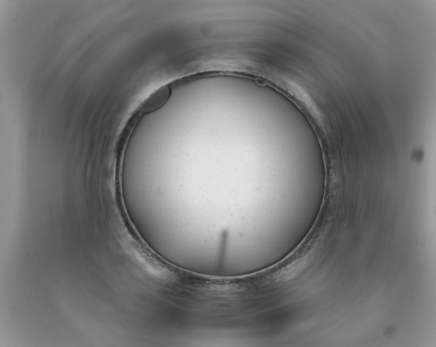 X0000091661035200709061016