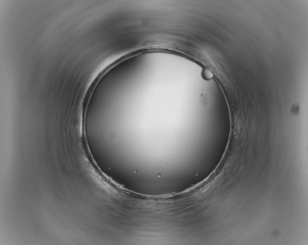 X0000091661036200709061016