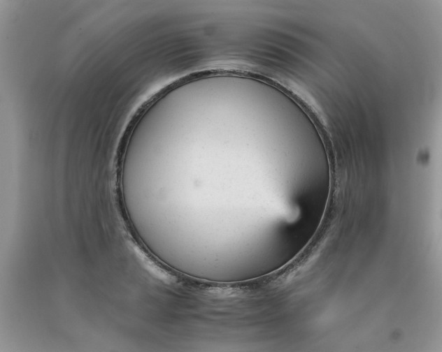 X0000091661037200709061016