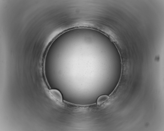 X0000091661038200709061016