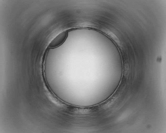 X0000091661039200709061016