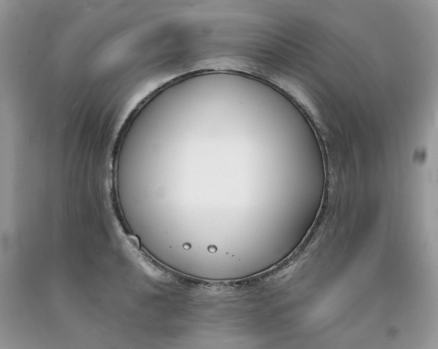 X0000091661040200709061016