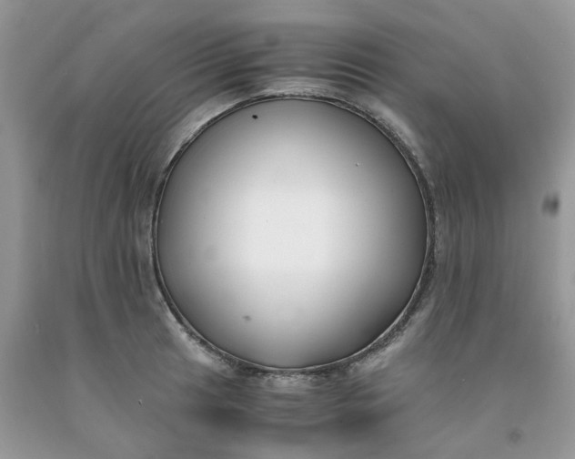 X0000091661041200709061016