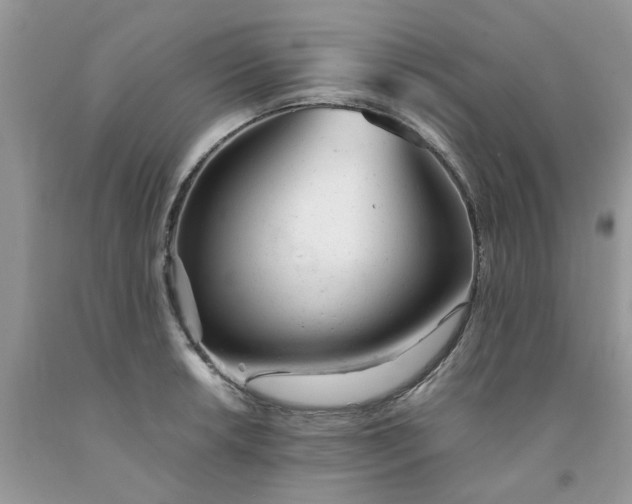 X0000091661042200709061016