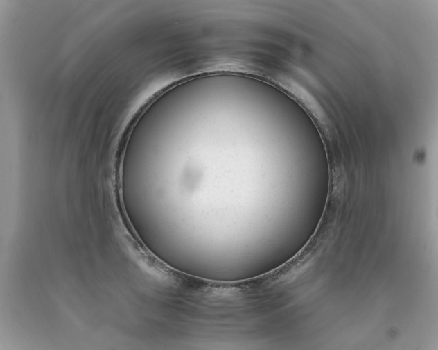 X0000091661043200709061016