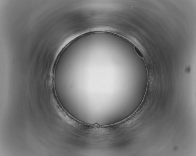 X0000091661044200709061016