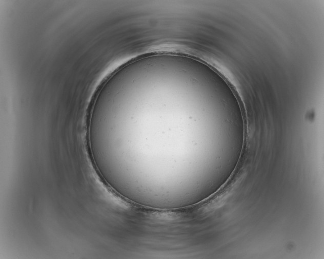 X0000091661045200709061016