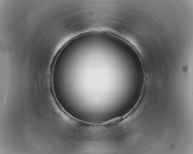 X0000091661046200709061016