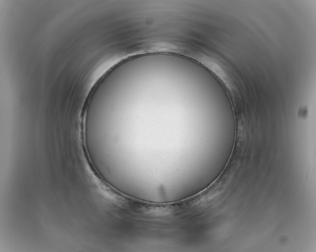 X0000091661047200709061016