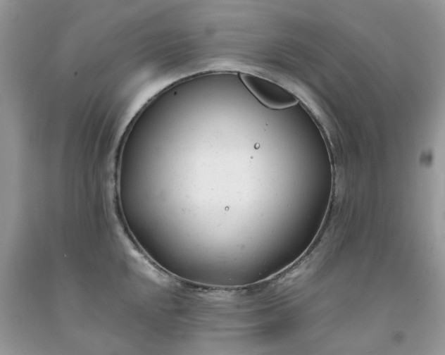 X0000091661048200709061016