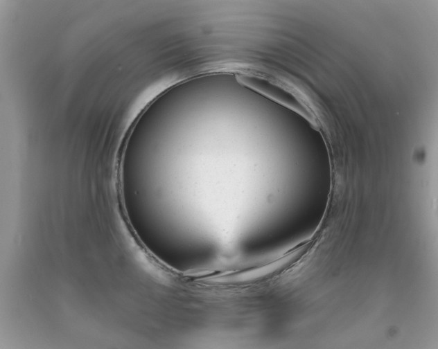 X0000091661050200709061016