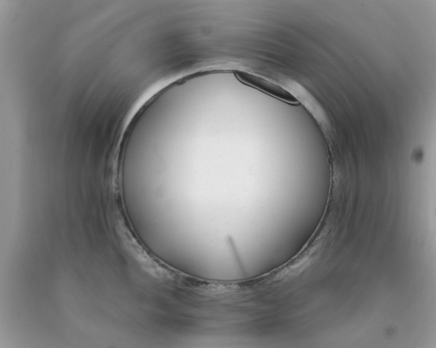 X0000091661052200709061016