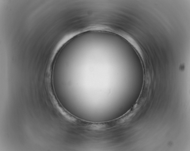 X0000091661053200709061016