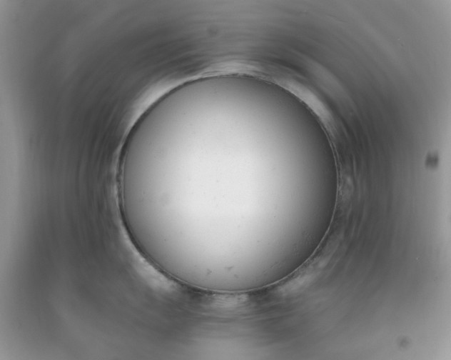 X0000091661055200709061016