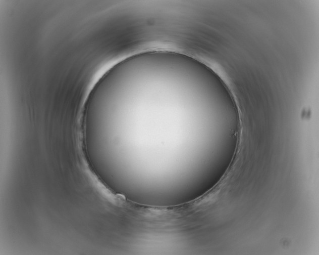 X0000091661056200709061016