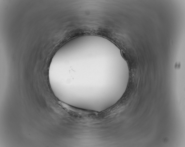 X0000091661057200709061016