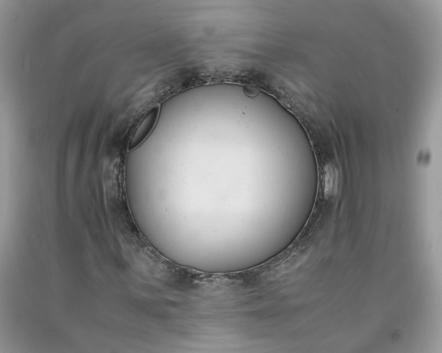 X0000091661059200709061016