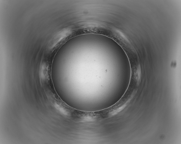 X0000091661060200709061015