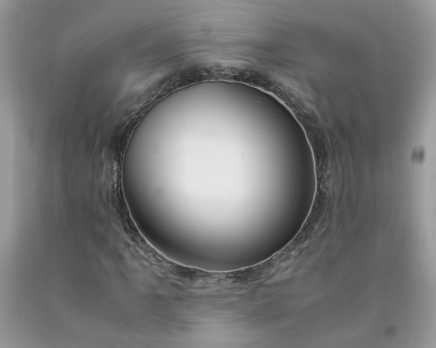 X0000091661061200709061015