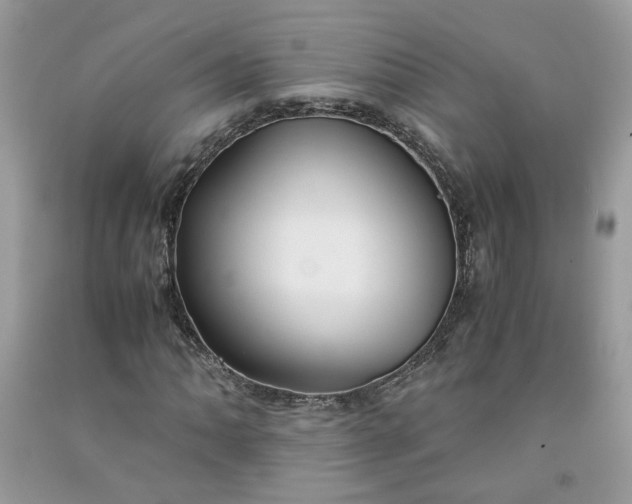 X0000091661062200709061015