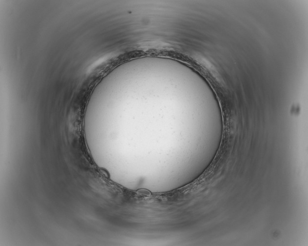 X0000091661063200709061015