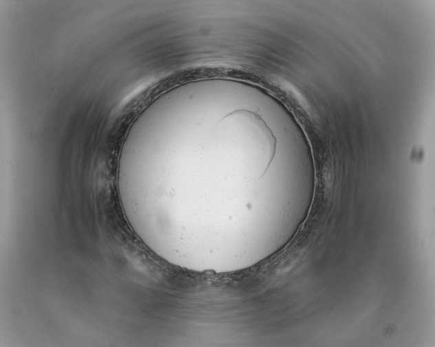 X0000091661064200709061015