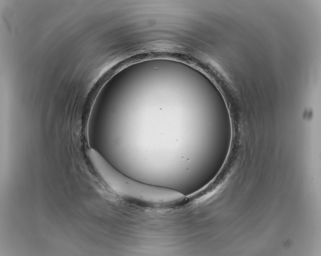 X0000091661065200709061015