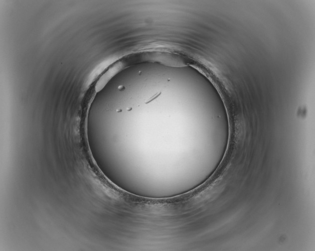 X0000091661066200709061015