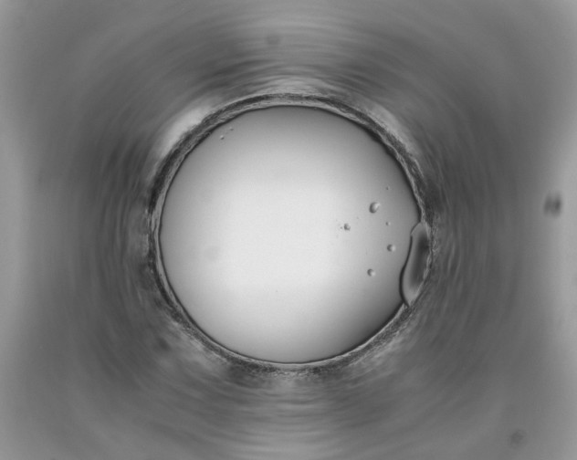 X0000091661067200709061015