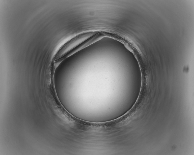 X0000091661069200709061015