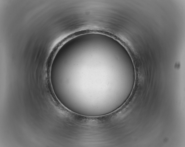 X0000091661070200709061015