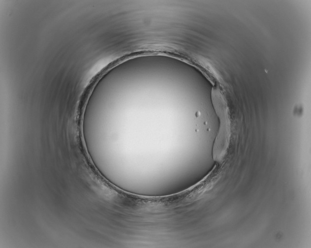 X0000091661071200709061015