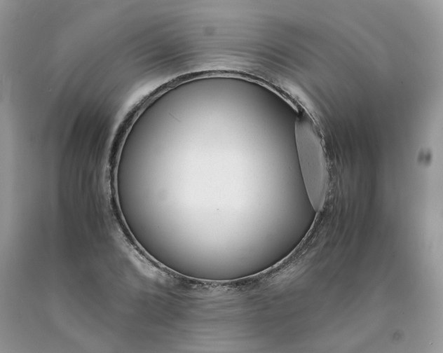 X0000091661072200709061015