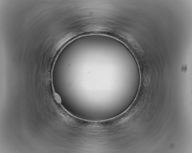 X0000091661073200709061015