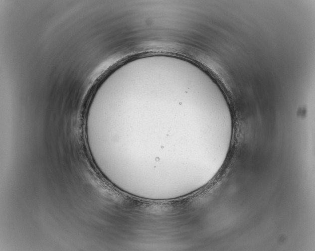 X0000091661074200709061015