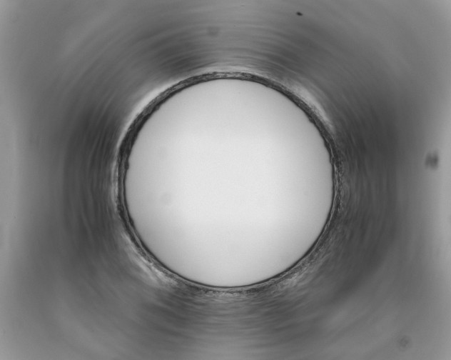 X0000091661076200709061015