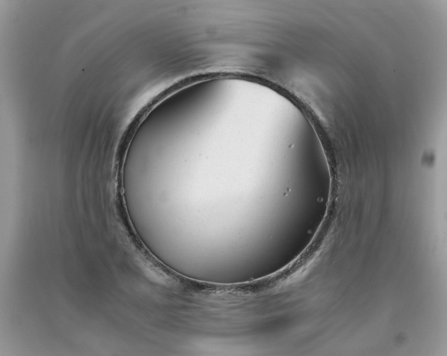 X0000091661077200709061015