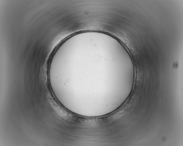 X0000091661078200709061015