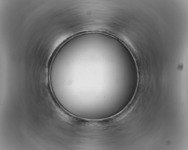 X0000091661079200709061015