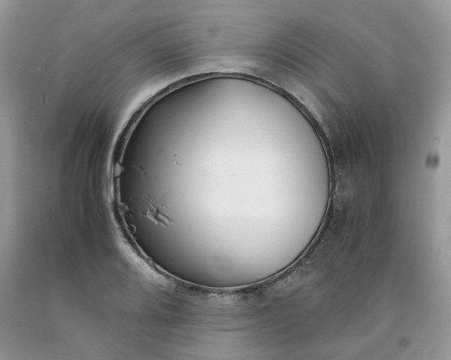 X0000091661080200709061015