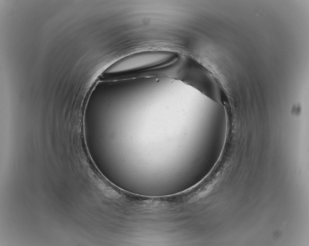 X0000091661081200709061015