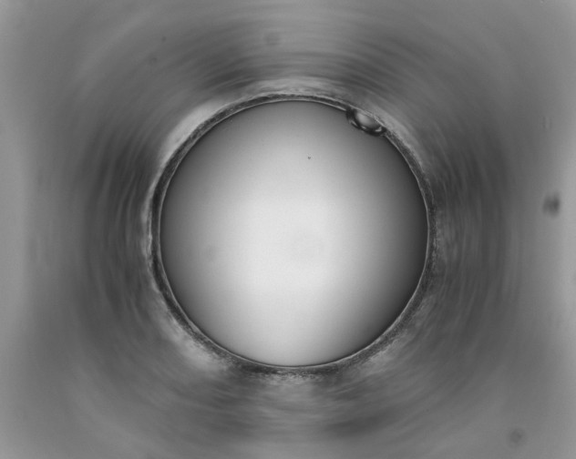 X0000091661082200709061015