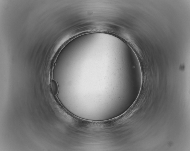 X0000091661083200709061015