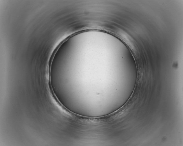 X0000091661084200709061015